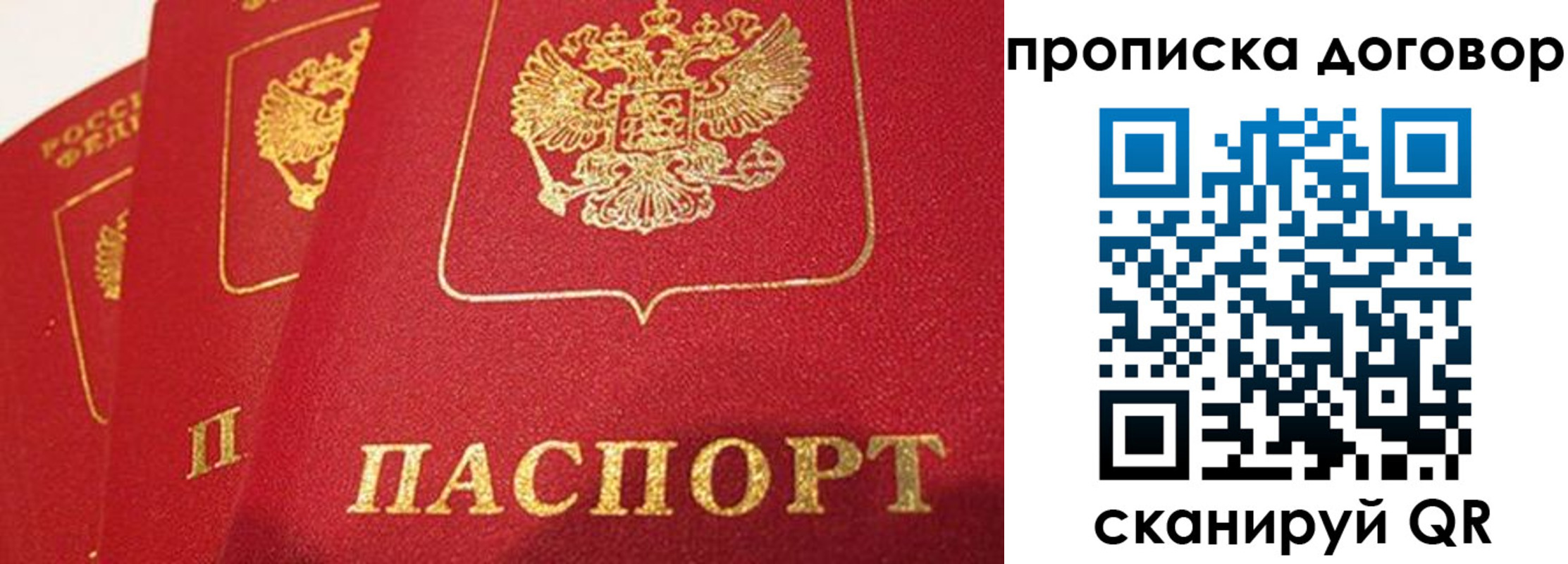 найти адрес прописки в Каменке